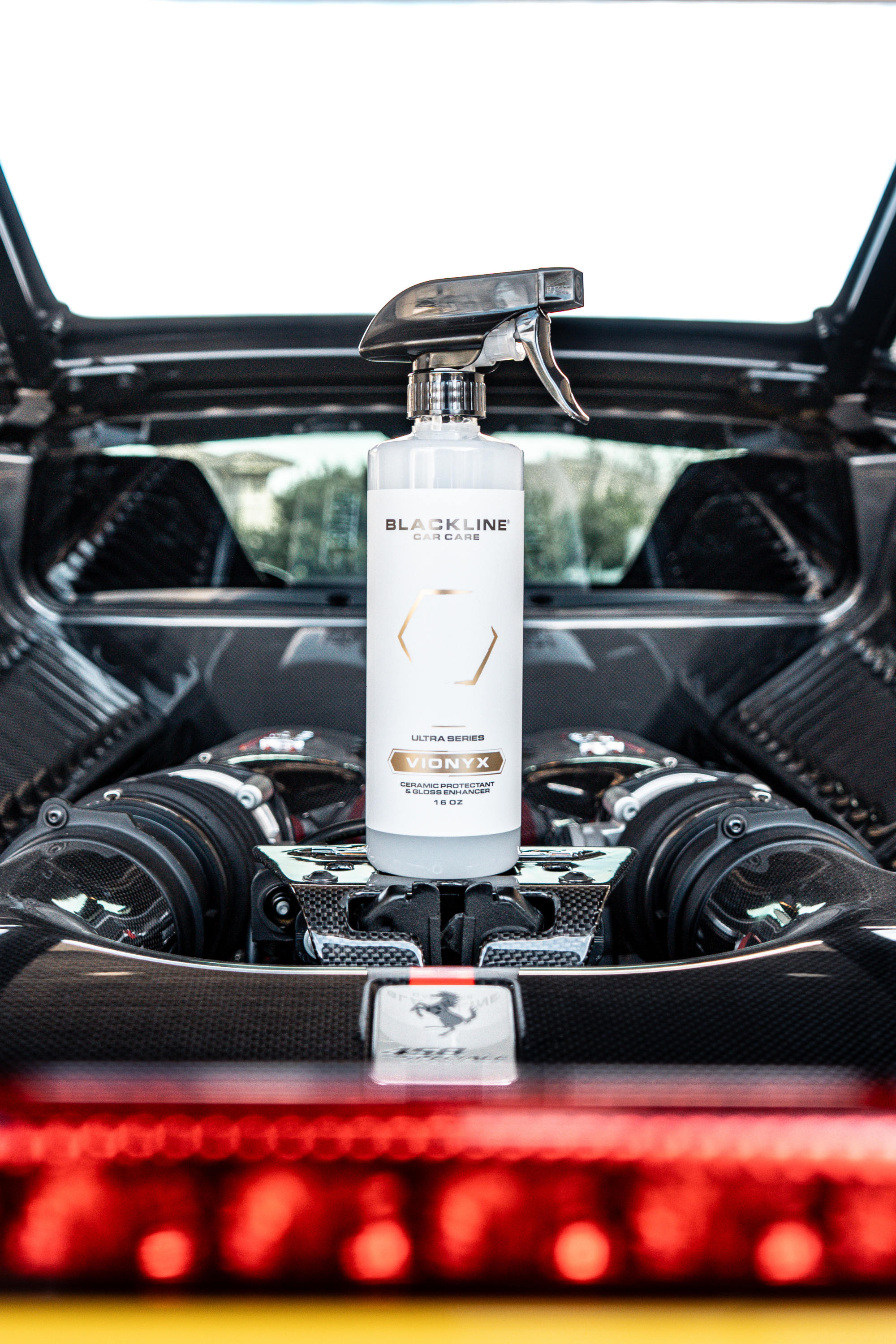 BLACKLINE® VIONYX CERAMIC PROTECTANT